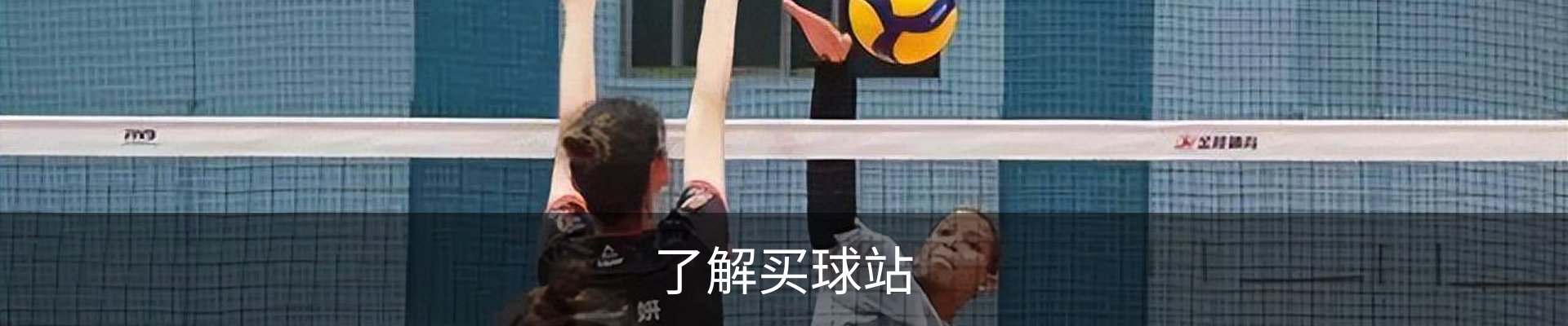 了解买球站